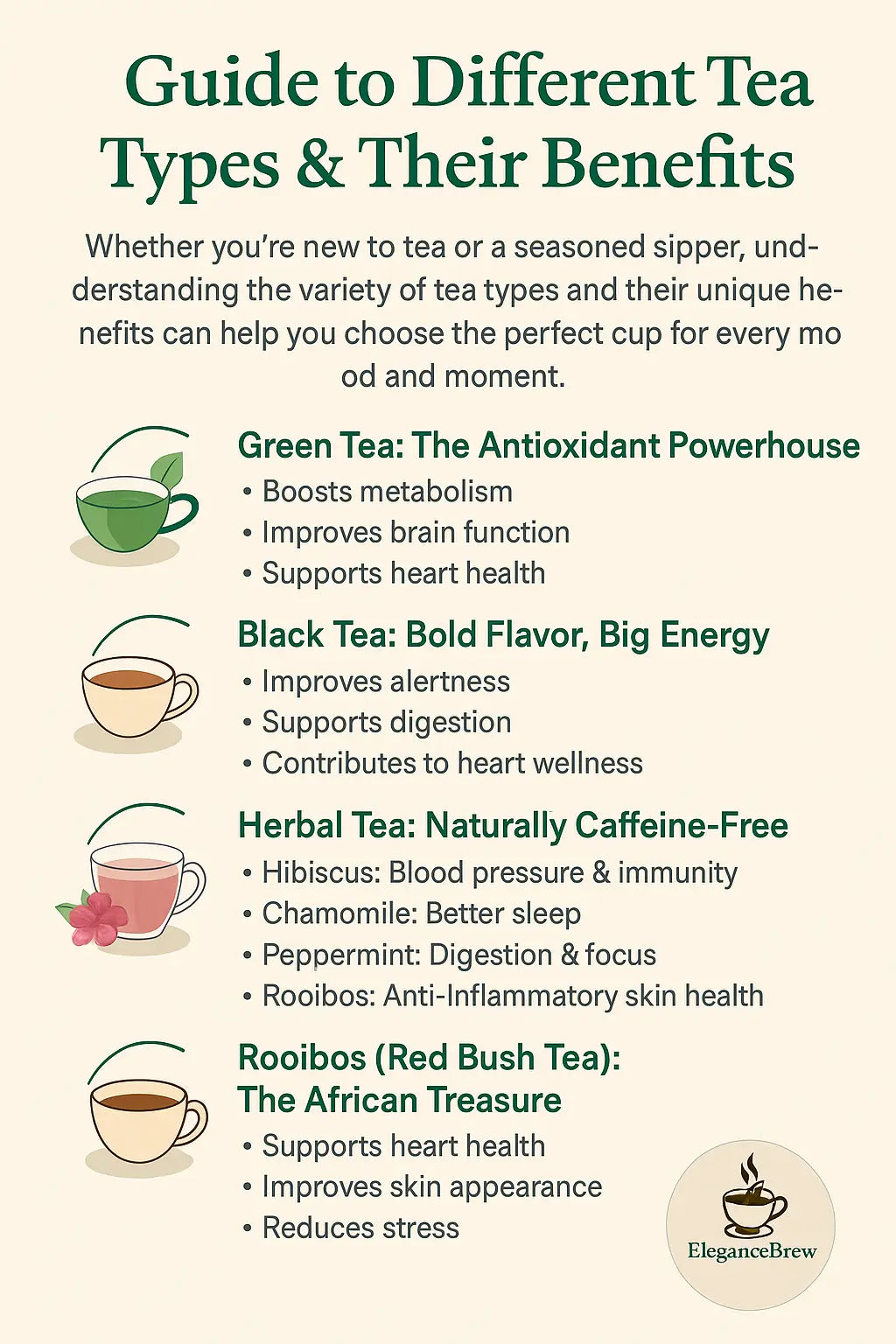 Guide to Different Tea Types & Their Benefits