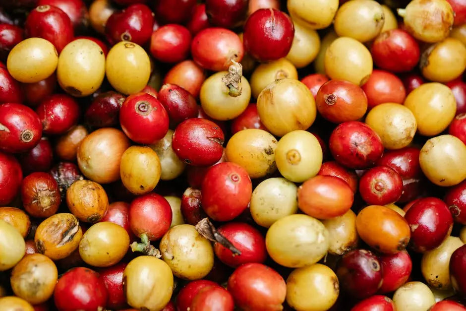 12 Unique Coffee Flavor Combinations That Will Transform Your Morning Brew